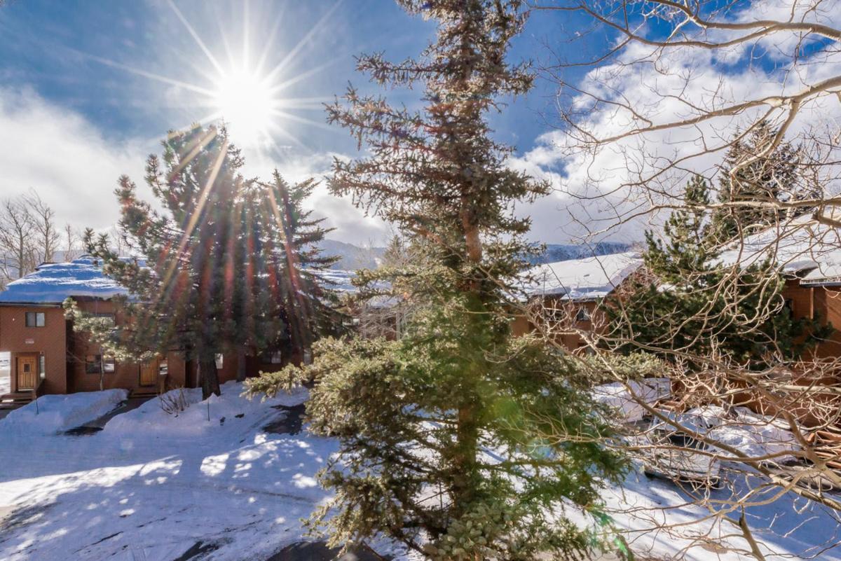 Snowflower 12 Mammoth Lakes Dış mekan fotoğraf